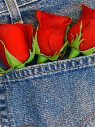 mohammad&nbsp;teimoory